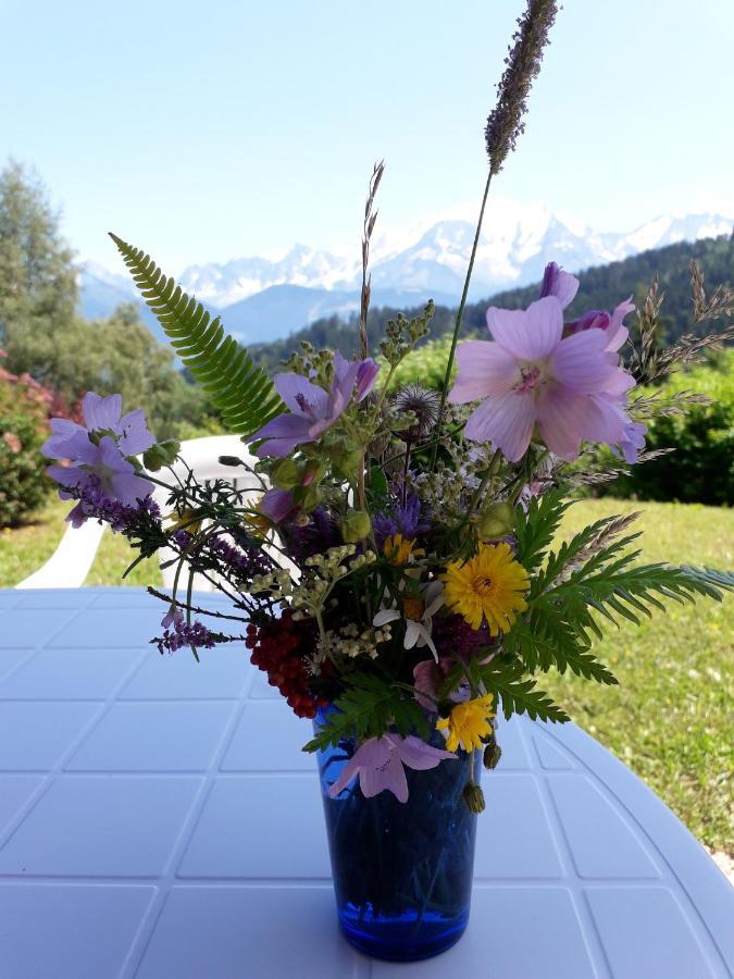 Studio Avec Jardin Amenage Et Wifi A Cordon A 1 Km Des Pistes Lägenhet Exteriör bild