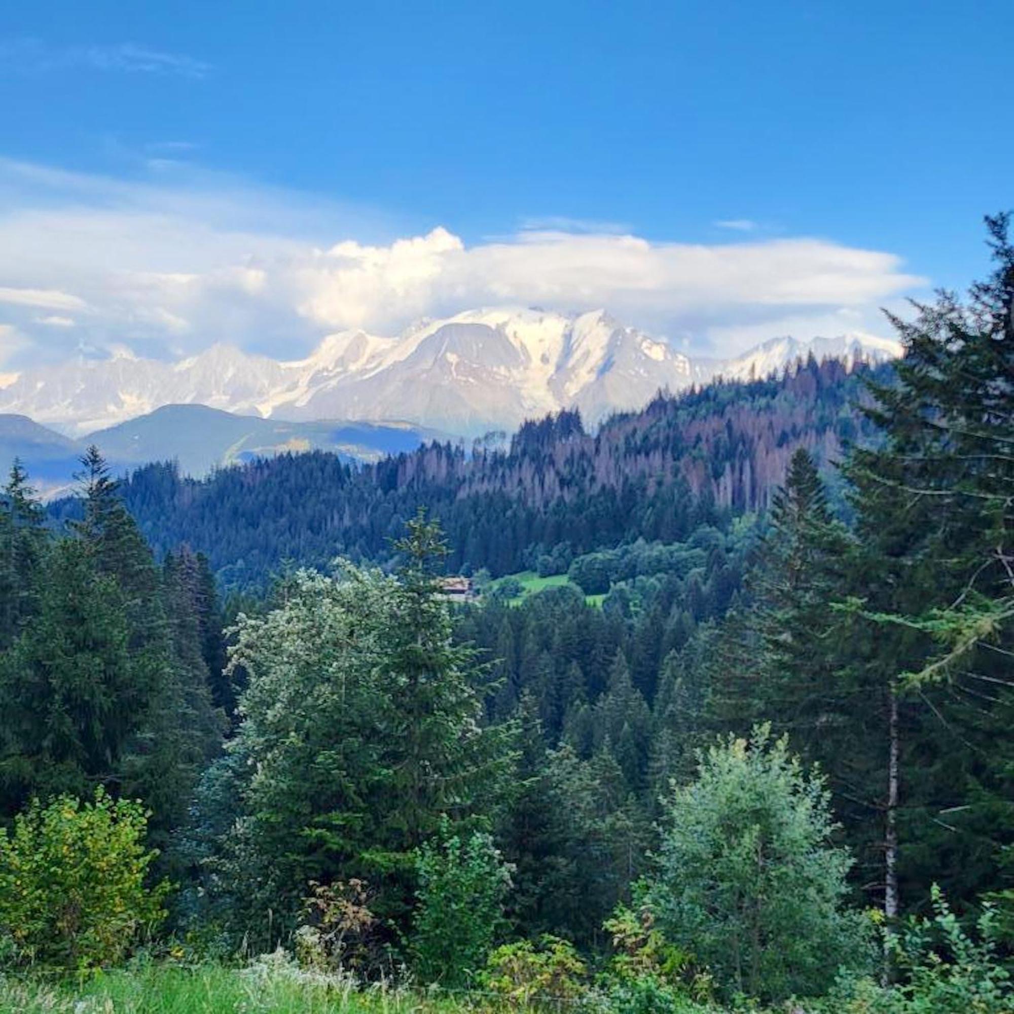 Studio Avec Jardin Amenage Et Wifi A Cordon A 1 Km Des Pistes Lägenhet Exteriör bild